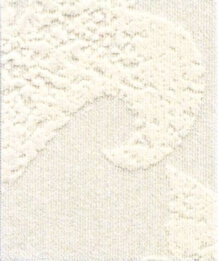 JAS45